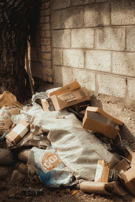 Insider tips for urgent rubbish removal in Haringey