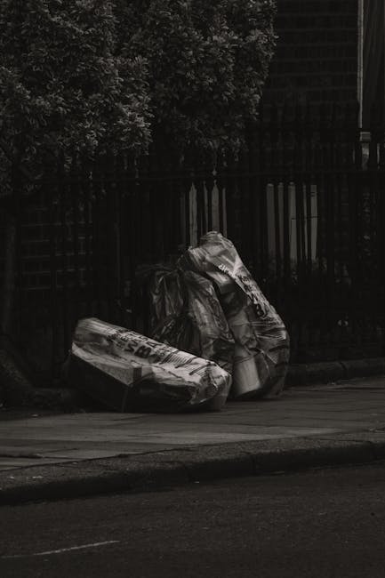 Mistakes to avoid when hiring a Haringey rubbish clearance team